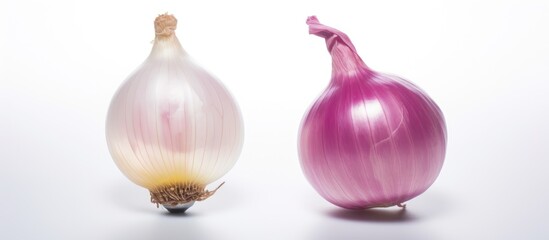Two purple onions are placed together on a natural material surface. The vibrant hues of magenta and violet create a striking contrast, reminiscent of creative arts and fashion accessories