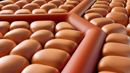 Fototapeta premium 3d rendering of cells around of blood artery 
