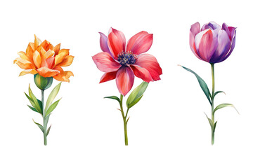 Different flowers set watercolor illustration, cute floral vector clipart,  red orange purple colored flowers, on white background