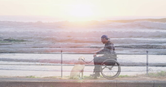 Image of sea landscape over disabled cuacasian man sitting in wheelchair with his dog