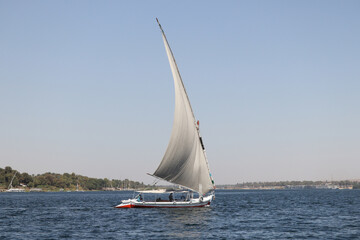 traditional felucca sailing on the nile - obrazy, fototapety, plakaty