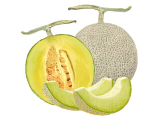 マスクメロン（1個と半分とくし切り）