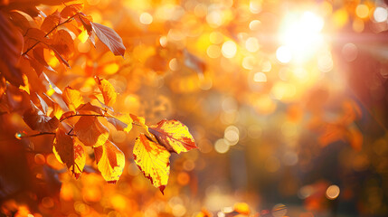 Naklejka na ściany i meble Art Autumn Sunny Nature Background with Copy Space, Isolated Illustration of Fall Foliage for Seasonal Designs, Generative AI