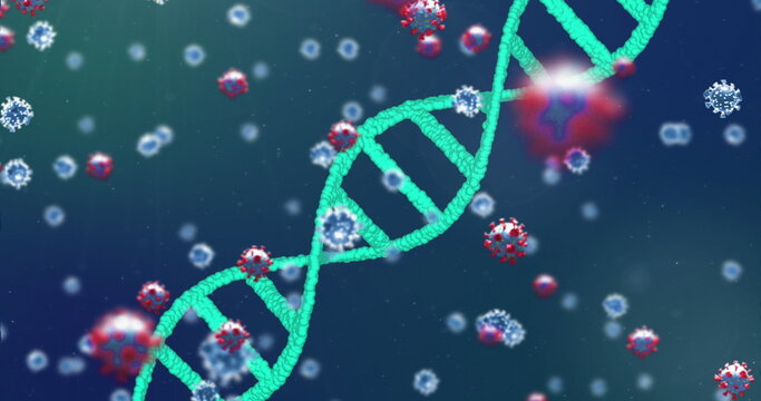 Image of 3D coronavirus Covid 19 cells spreading with rotating DNA strand