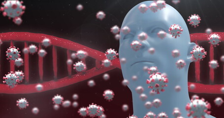 Image of rotating DNA strand and coronavirus Covid 19 cells spreading over model of human head