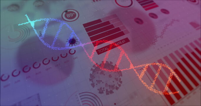 Image of digital interface with financial graphs, statistics and rotating DNA strand - Powered by Adobe