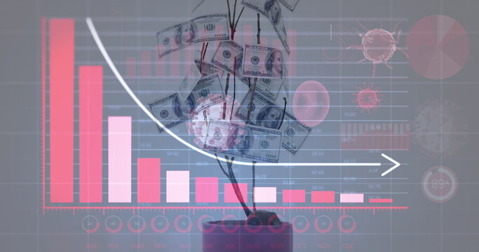 Image of digital interface graphs, statistics and coronavirus Covid 19 cells over tree with banknote