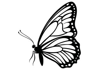 Fototapeta na wymiar Art Nouveau butterfly Graphic Accents, vector illustration, vintage elements 