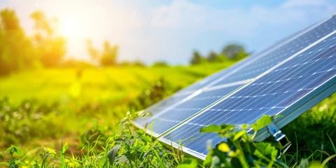 Poster Solar panels harnessing sustainable energy in a verdant rural landscape. © tashechka