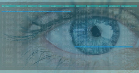 Image of woman's blue eye with fast scrolling digital information and moving blue lines