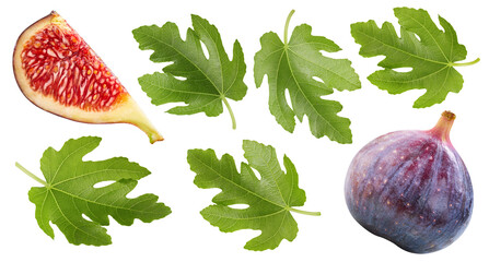Isolated fig with leaf - 756982879
