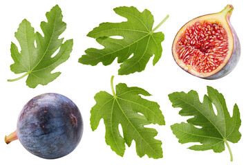 Isolated fig with leaf - 756983806