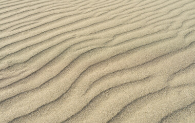 Wave pattern on sand, texture background - 756985420