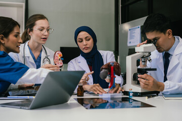 Medical, meeting and laptop for team in office in discussion, brainstorming and planning. Doctor, nurse and computer on desk, teamwork or workshop for Model Internal organ.