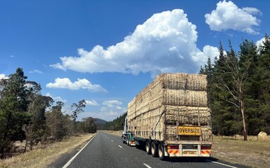 Over size truck transporting large shipment of hay