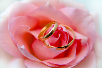Wedding rings lie on a bouquet of pink roses
