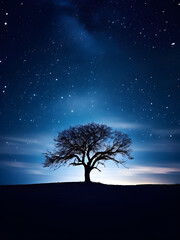 Fototapeta na wymiar tree in the night sky