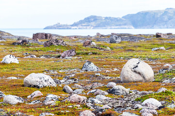 Tundra landscape in Murmansk region