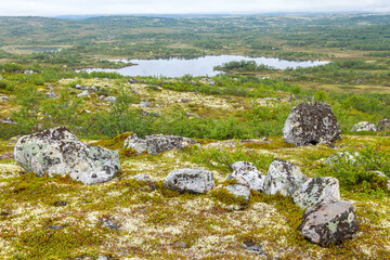 Tundra landscape in Murmansk region