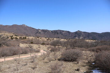풍경