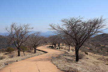 등산로