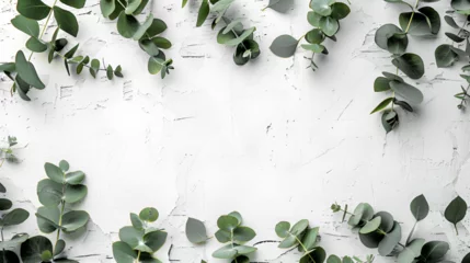 Fotobehang Eucalyptus Branches and Leaves on Wooden Rustic White Background, Natural Greenery Botanical Decor, Fresh Organic Foliage Texture for Design Projects, Generative Ai   © Muskan