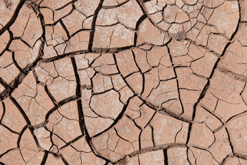 Backgrounds and textures