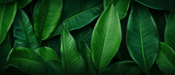 Abstract green leaf texture nature background.