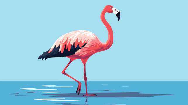Flamingo black white bird isolated illustration vector