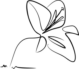 Spring flower, lily of the valley, with delicate white blooms isolated on white background, abstract slower, drawing line art