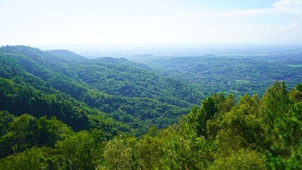 View from the top of mountain. Natural nature landscape background with clear sky and tress in the forest.