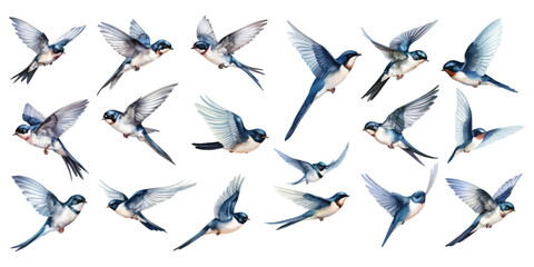 Watercolor swallows bird set collection isolated on white background. hand painted vector illustration