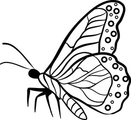 The coloring line art of a black and white butterfly spreading its wings on a crisp white background - 757017268
