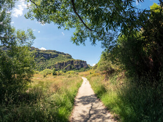 Diamond Lake Track: Native flora thrives amidst towering cliffs and majestic mountains in Wanaka, Otago, New Zealand