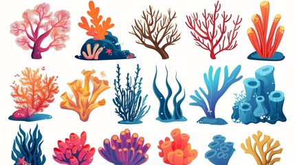 Cartoon seaweed and coral modern illustration set. Marine algae and sponges from the ocean and aquarium. Natural seabed plants.