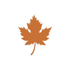 Obraz premium Maple leaf icon isolated on transparent background