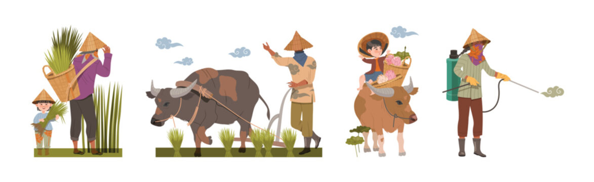 Asian Farmers in Straw Conical Hat Working on Field Vector Set