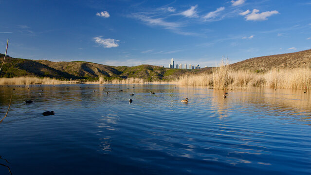 Ankara Eymir lake. View of the lake covered with reeds. Clouds reflected from the lake surface. Blue sky and lake view. Dry tree branches and lake. The focus is on the front.