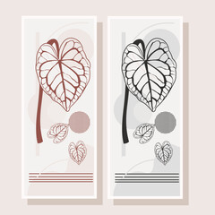 Elephant ear leaf outline illustration, flat design vector