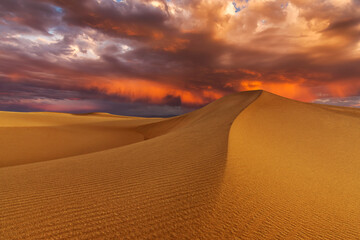 Fototapeta na wymiar Sunset over the sand dunes in the desert. Rub' al Khali desert