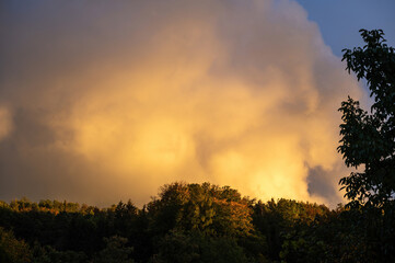 Big cloud in the evening light over green forest
