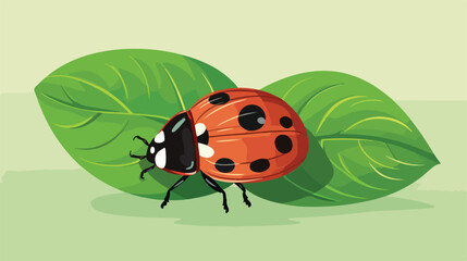 Ladybug sitting on a green leaf. Isolated vector