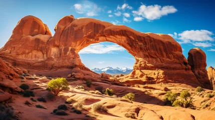 Wandcirkels aluminium Arches rock in national park with perfect natural view © franklin