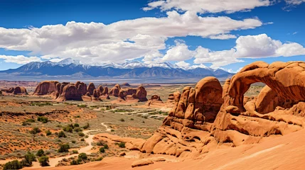 Tuinposter Arches rock in national park with perfect natural view © franklin