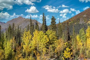 Canada, Yukon, view of the tundra in autumn