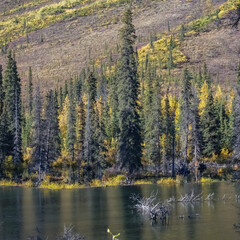 Yukon in Canada, wild landscape in autumn 