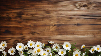 Beautiful spring chamomile flowers on a wooden background