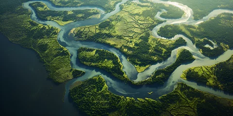 Foto op Plexiglas aerial view of a river delta with lush green vegetation and winding waterways  © iqra