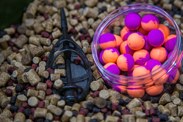 Bait for fishing for carp