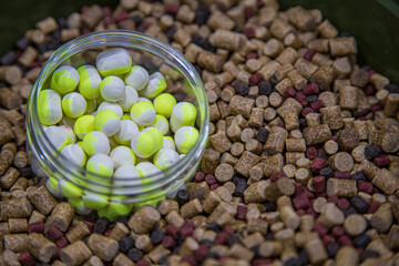 Bait for fishing for carp